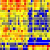 EoE Diagnostic Panel