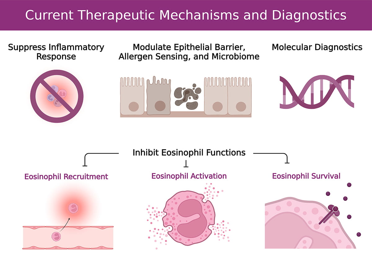 Mechanisms of Current Therapeutics