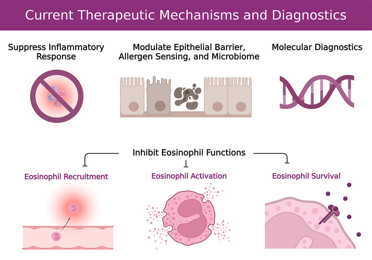 Mechanisms of Current Therapeutics
