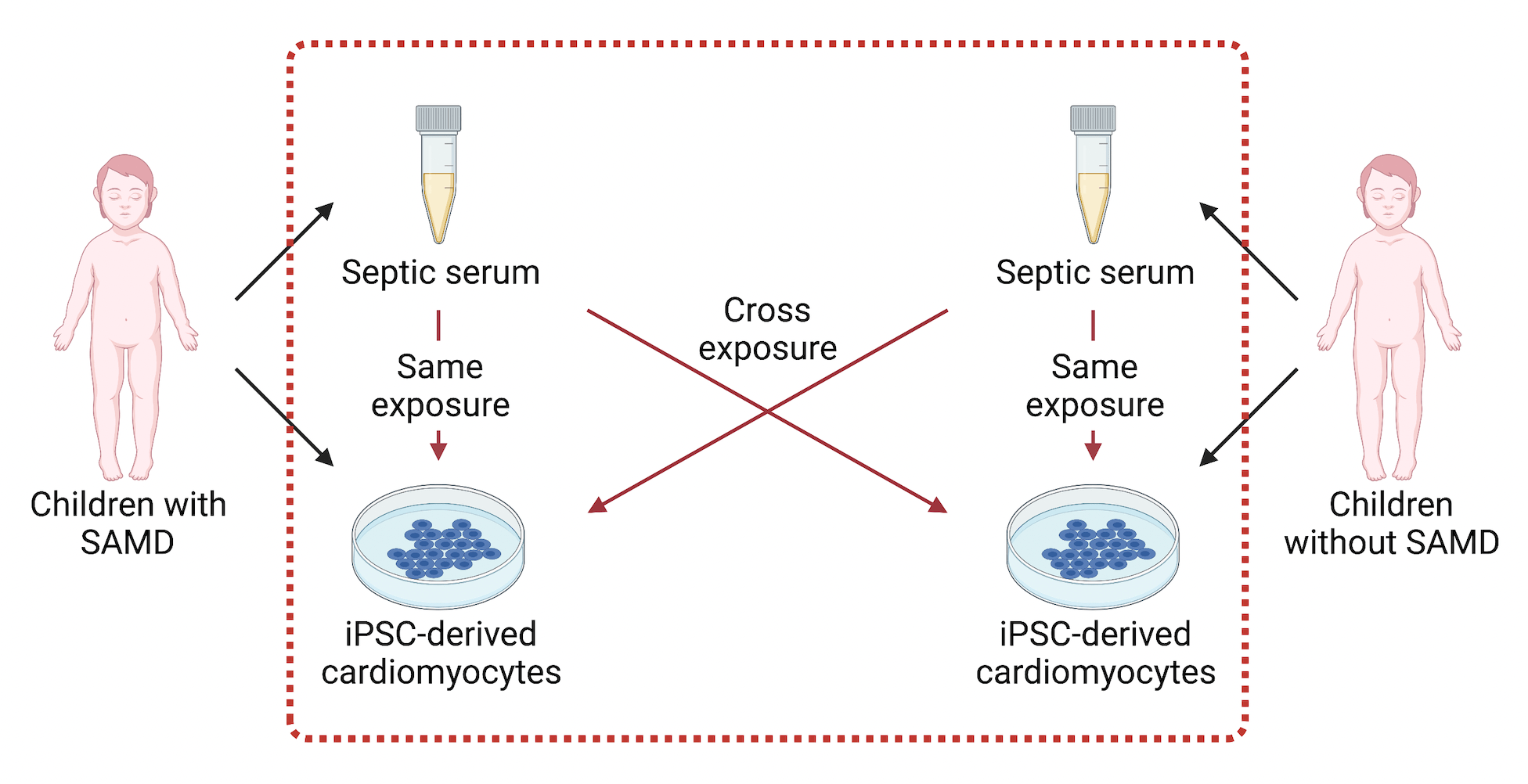 Host Genetic Background in SAMD Figure.