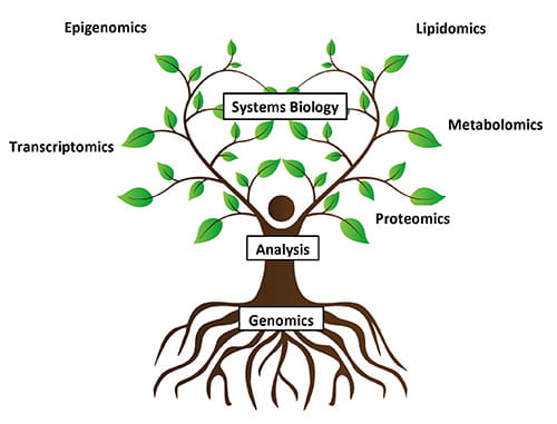 Image representing the 'omics' fields of study.