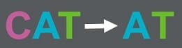 genetics genomics and health-article1-image3-261x70