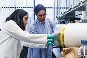 A photo of Theresa Alenghat, VMD, PhD, working in the lab.