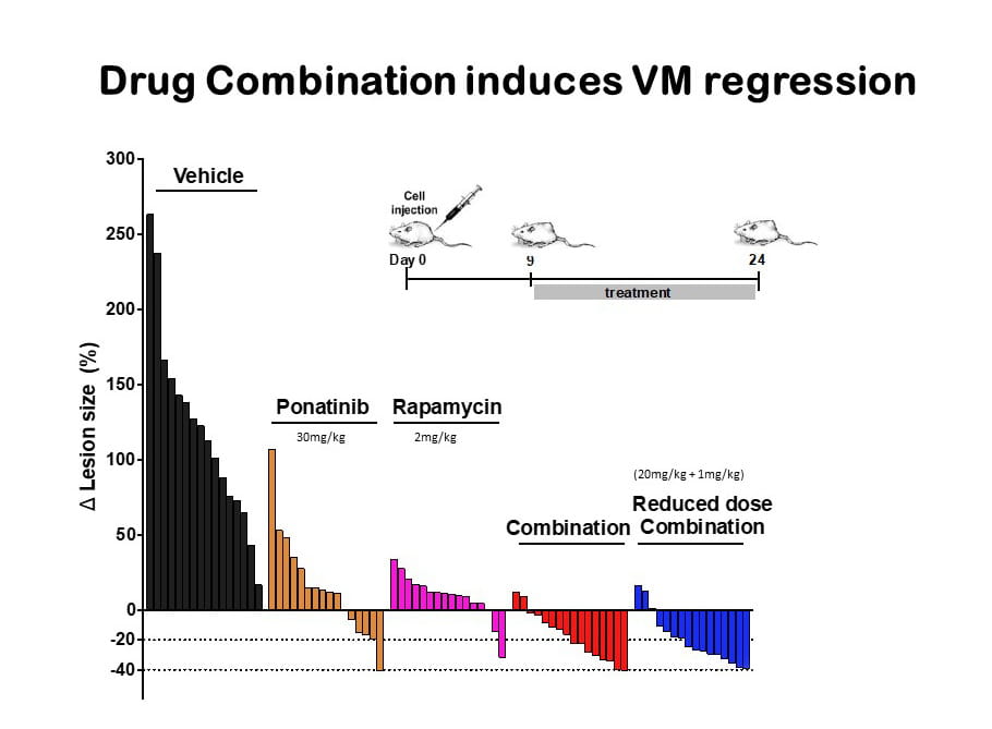 Drug Combination induces VM regression.