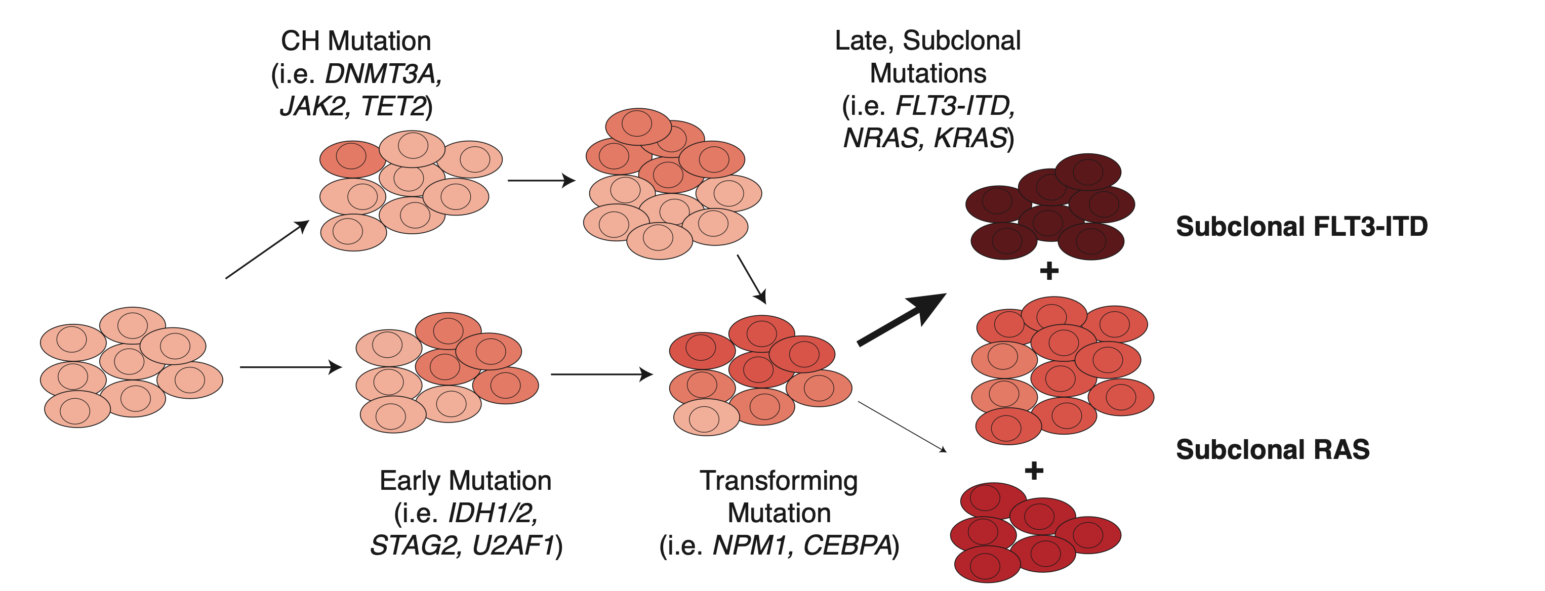 Research figure by the Miles Lab.