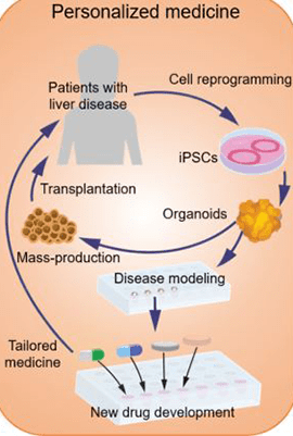 Personalized medicine.