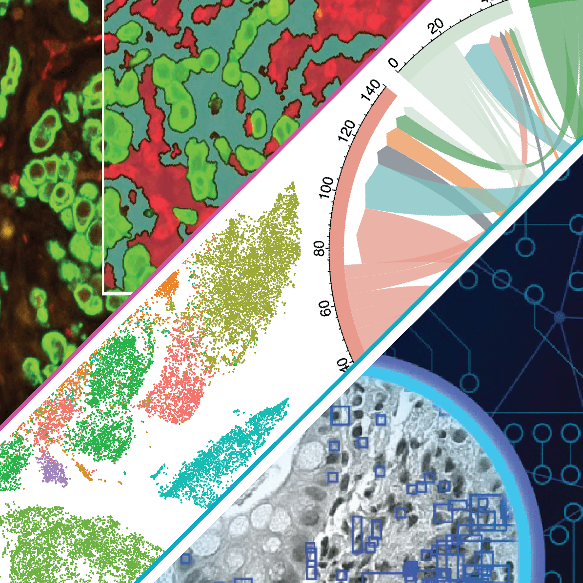 Computational gastroenterology slide image.