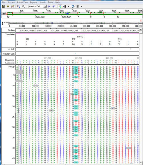 PAHbiobank-Visual3-500