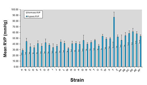 Hypertension-Visual1-500