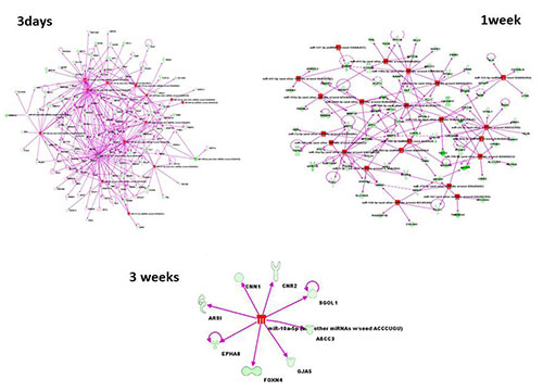 Hypertension-Visual3-500