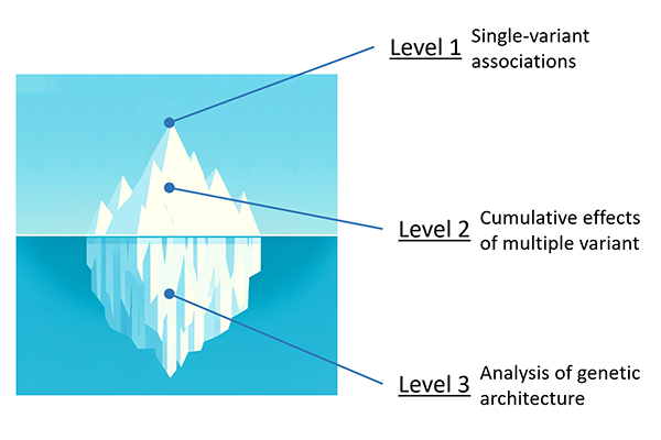 A graphic of an iceberg to illustrate levels.