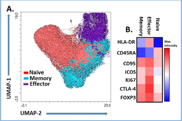 Function and homeostasis of Regulatory T cells figure 1.