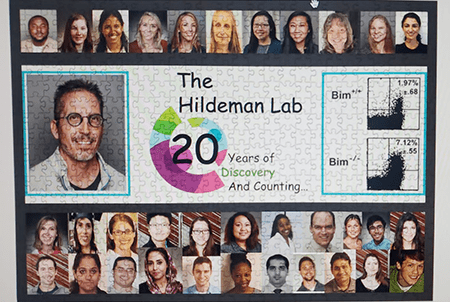 Puzzle to celebrate 20 years of Hildeman Lab.