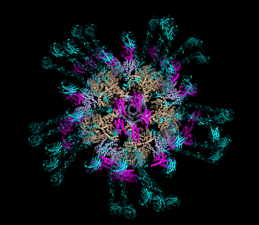 protein project image.