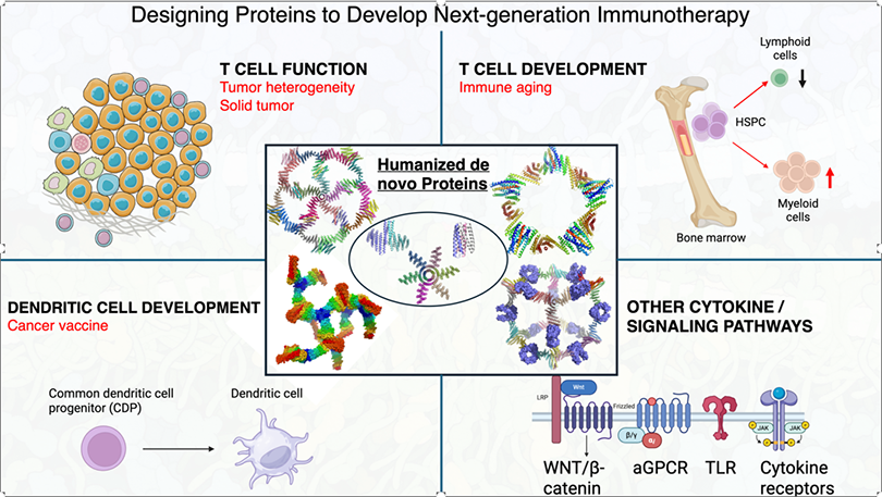 Designing proteins image.