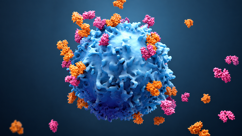 Designed proteins for immune development and function.