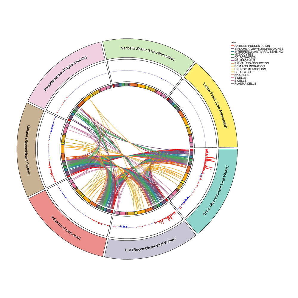 A graph of the overlap in upregulated transcriptional modules across vaccine responses on day one post-vaccination.