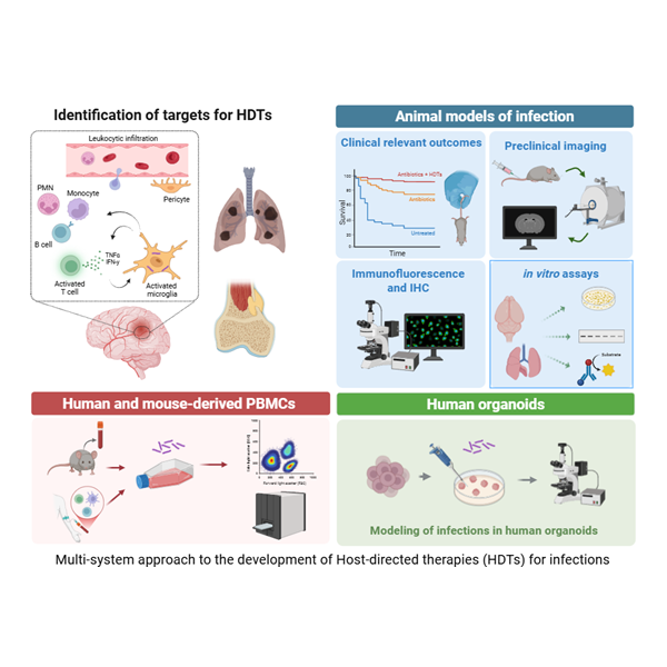 Host-Directed Treatments for infections.