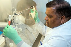 Dr. Singh at work.