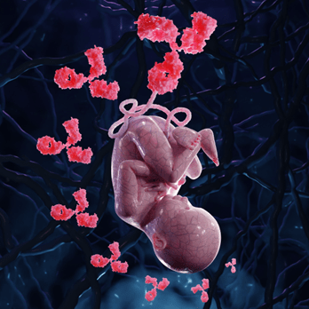 Vertically transferred protection from mothers to babies.