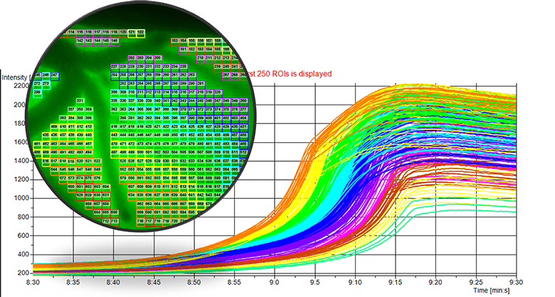 An image showing quantification of spatiotemporal progression of spreading depolarization across the brain cortex at 20x magnification.