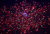 Fireworks: Pediatric brain tumor cells expressing stem cell markers.