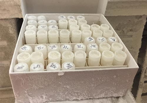 cancer biomarkers-visual1-500