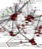 HPV transcriptome.