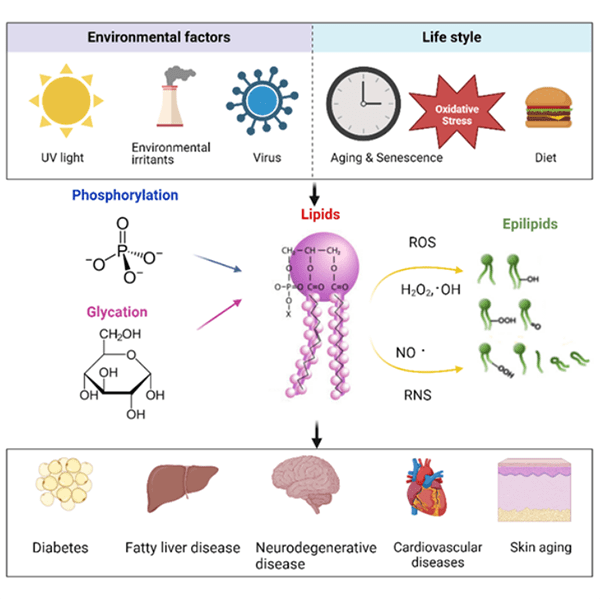 A chart describing research findings.