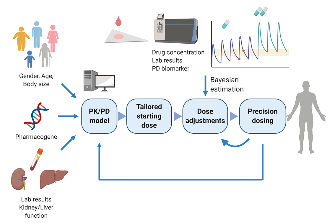 Mipd Api Layer Projects | Mizuno Lab