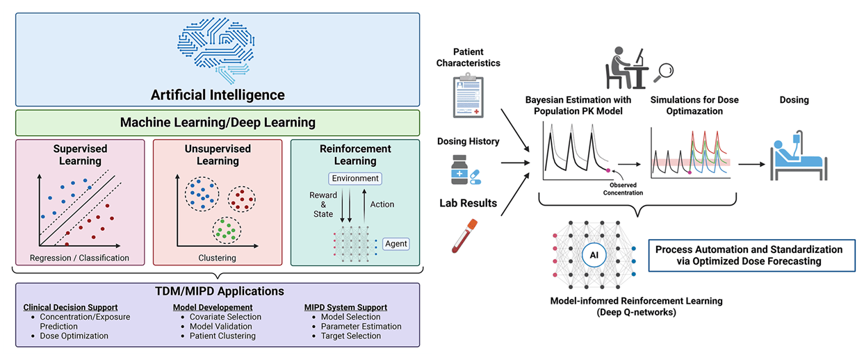 AI/ML approaches in support of therapeutic drug management (TDM) and model-informed precision dosing (MIPD).