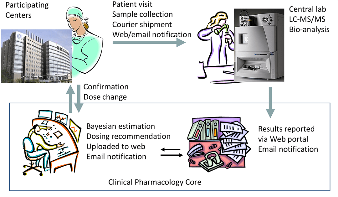 Example scheme of the implementation of the clinical pharmacokinetics consultation as part of prospective clinical trials with real-time precision dosing strategies.