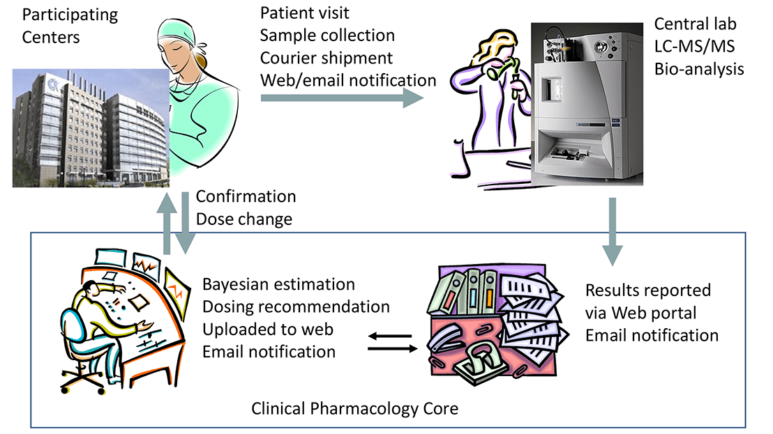 Example scheme of the implementation of the clinical pharmacokinetics consultation as part of prospective clinical trials with real-time precision dosing strategies.