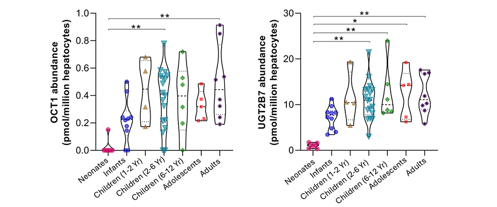 An image describing research.