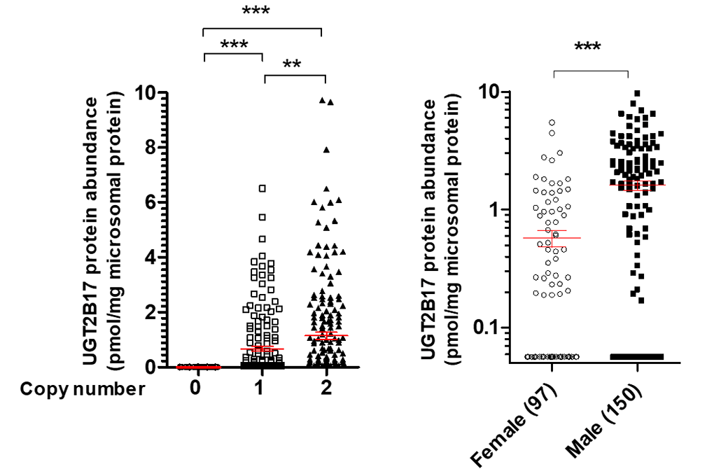 An image describing research.