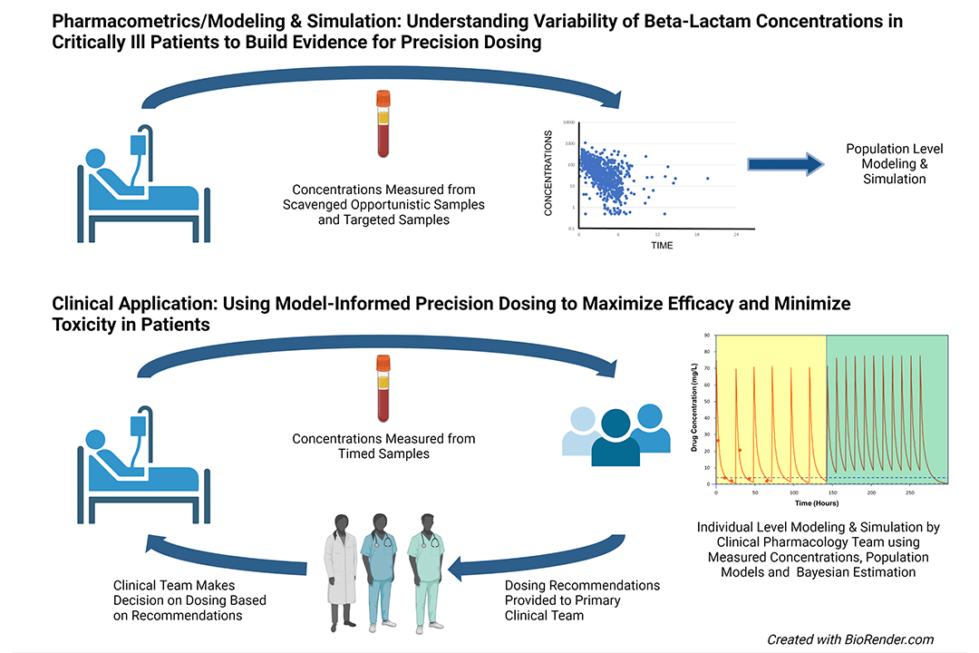 A graphic describing the research project.