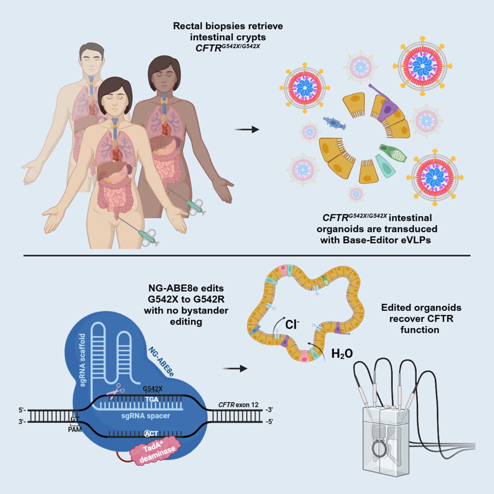 Base Editing graphic.