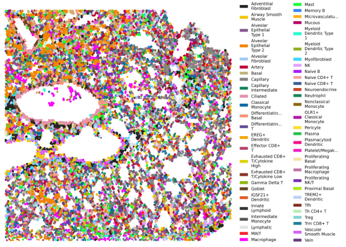 Single Cells Mapped to Lung Tissue.