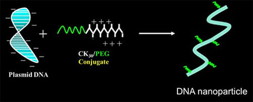 Development and understanding of nucleic acid nanoparticles for human gene therapy-visual1-500-image1