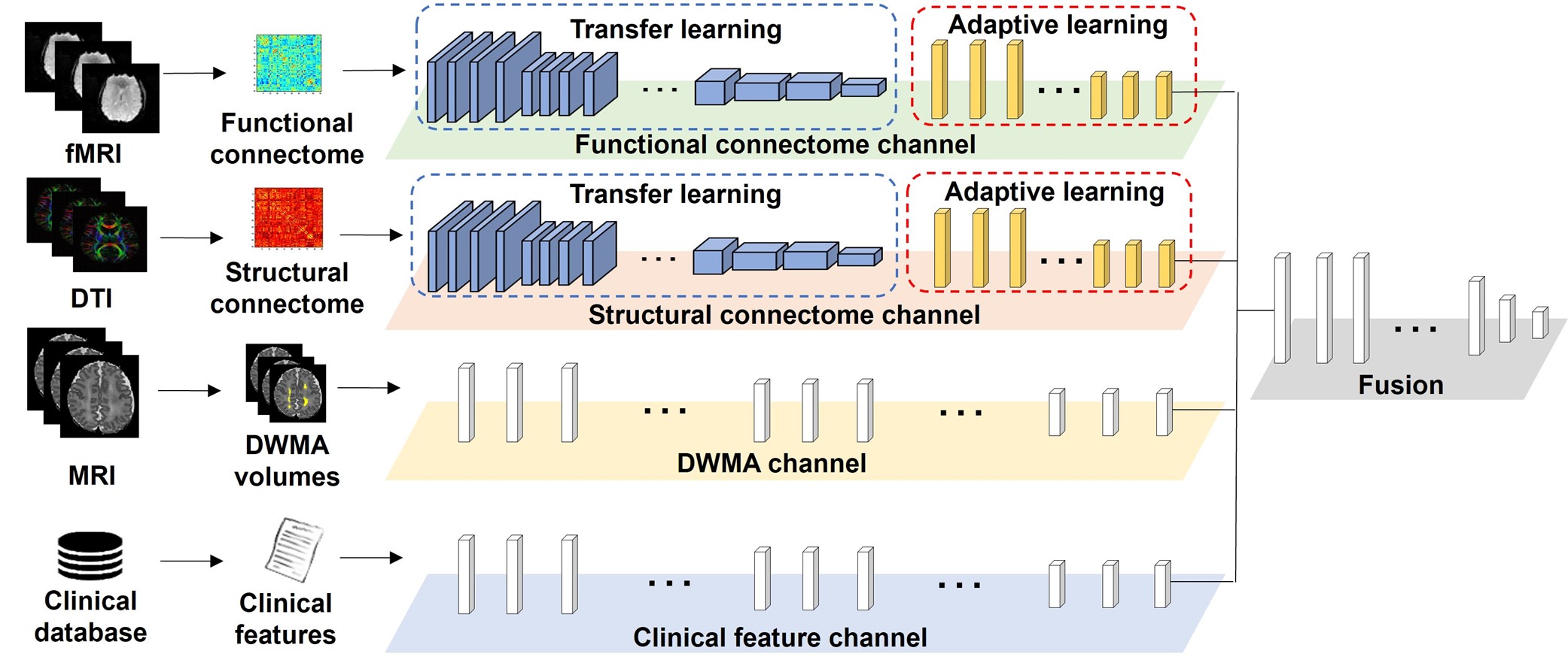 Figure 1: MRI and Deep Learning for Early Prediction of Neurodevelopmental Deficits in Very Preterm Infants.