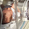 perinatal-bio