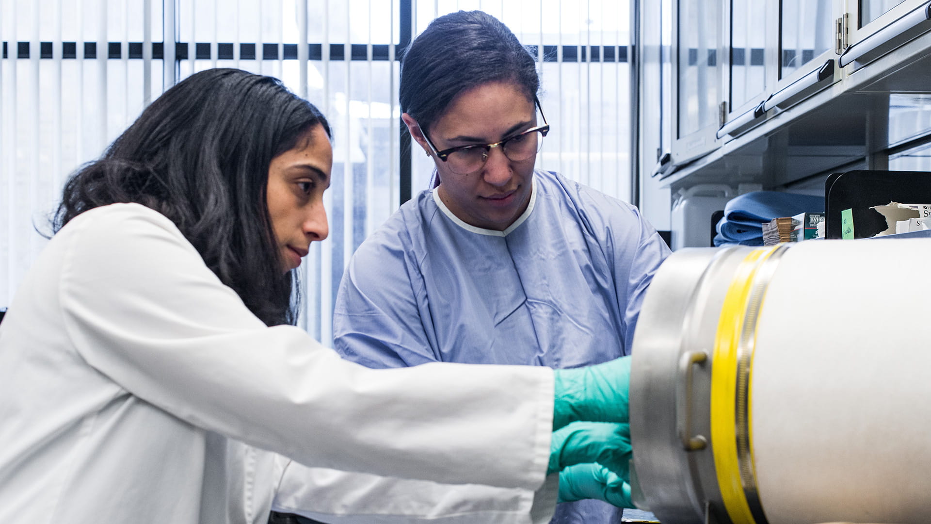 An image of Theresa Alenghat, VMD, PhD, and Jordan Whitt in the lab.
