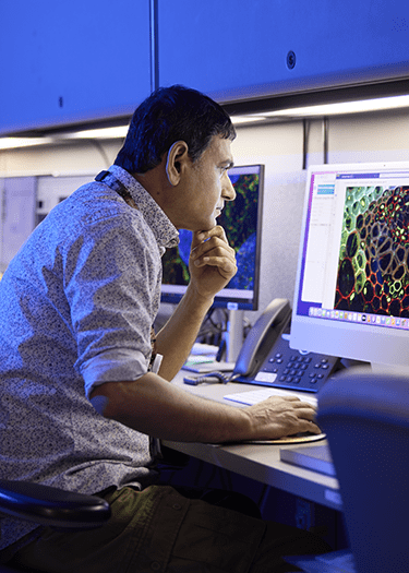 Researcher studying a computer screen.