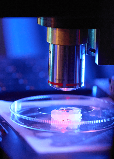 Close up of a microscrope and speciman.