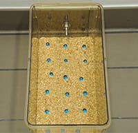 Image of Object Burying apparatus.