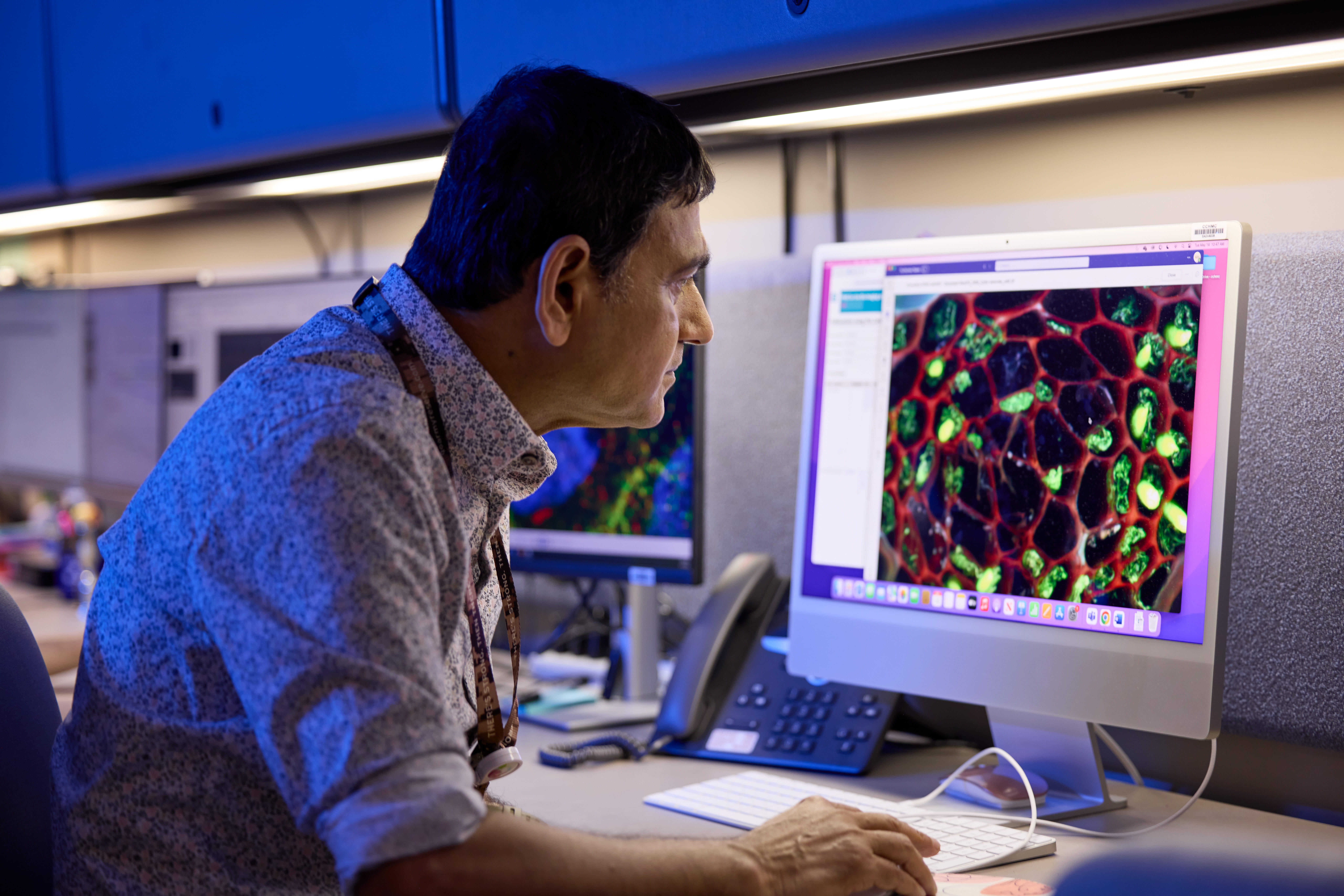 Scientist on a computer looking at pathology 
