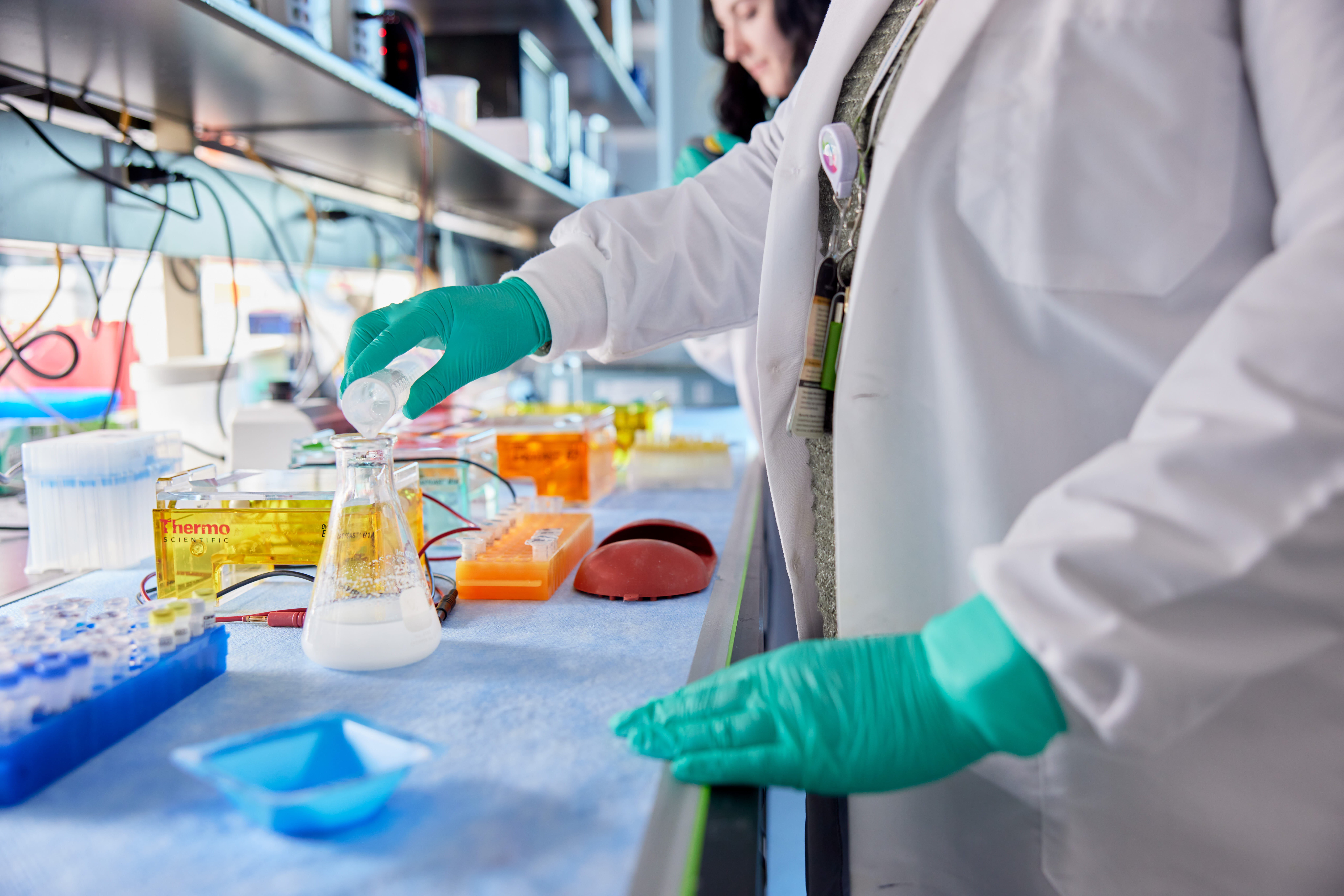 Scientist conducts research at the bench.