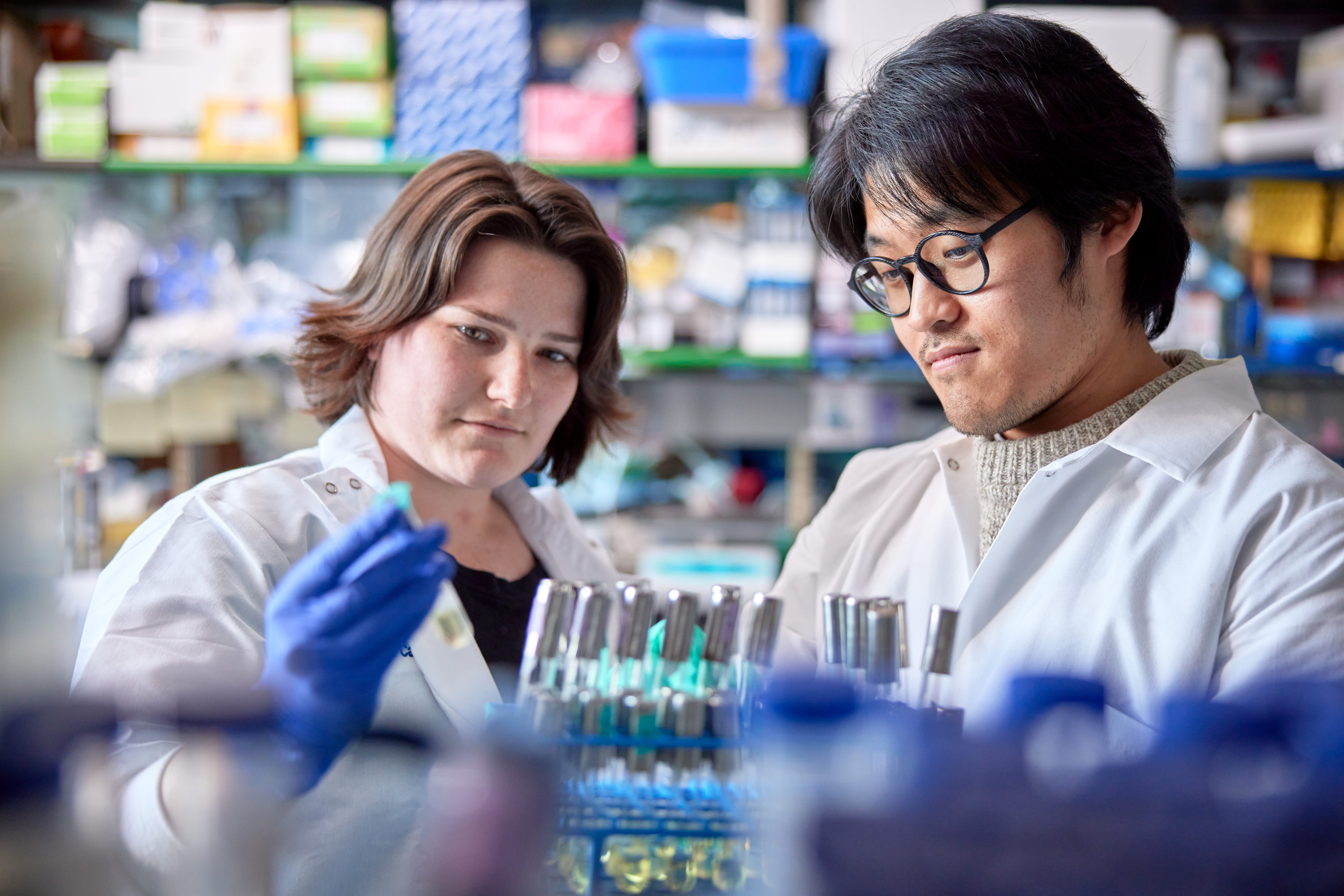 Researchers view test tube.