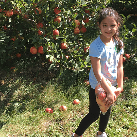 Makenzie picking apples.