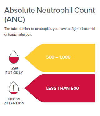 Absolute neutrophil count.